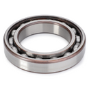 Bearing V610060124