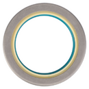 Shaft Seal V31800610