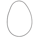 O-Ring (DPS Housing)