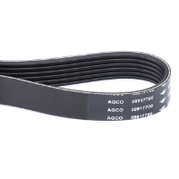 Multiribbed Belt