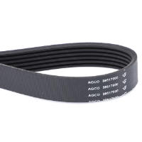 Multiribbed Belt