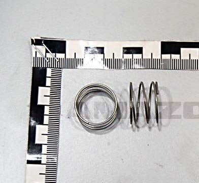 Valve spring