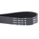 Multi-Rib Alternator Belt