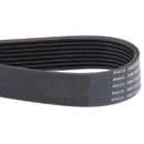 Multiribbed Belt