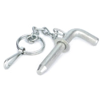 Pin C/W Chain
