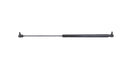 Gas Spring