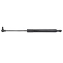GAS STRUT DOOR