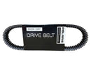 Drive Belt