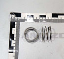 Valve spring