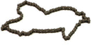 Cam Chain