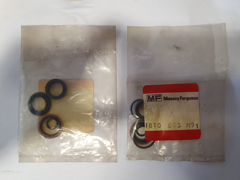 Seal Kit 1810093M91 - BRM-SHOP.COM