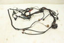 Wiring Harness 2411469 - BRM-SHOP.COM